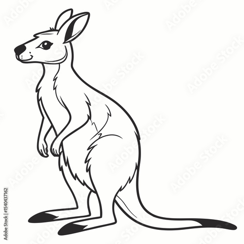 kangaroo vector illustration