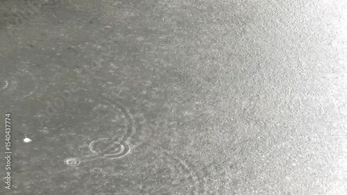 A big puddle from the rain, a typhoon is starting, the wind has brought a cyclone. The weather is rainy, raindrops on the water.