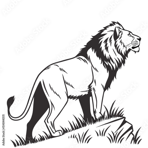 lion vector illustration