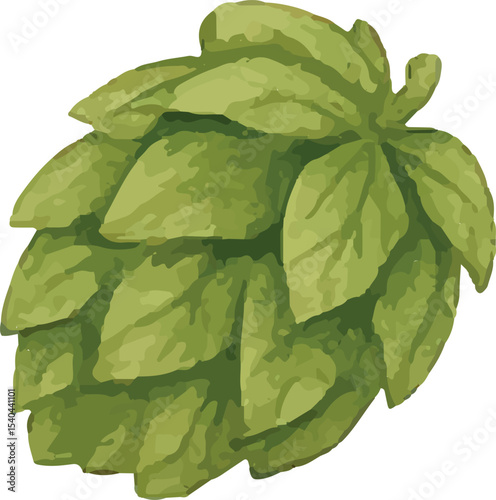 Fresh green hop cones, key to beer flavor, perfect for brewing illustrations. Ideal for craft beer branding, hop harvest themes, or rustic brewery decor