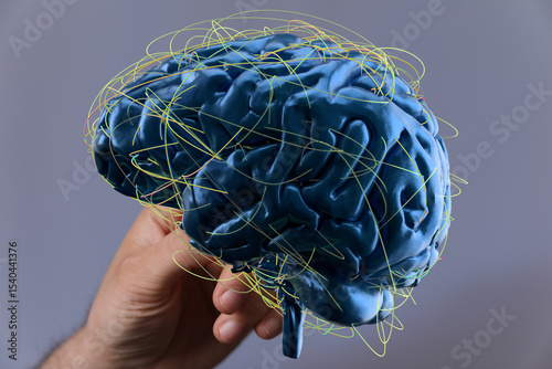 3D rendering of a human brain showing complex neural pathways and connections.