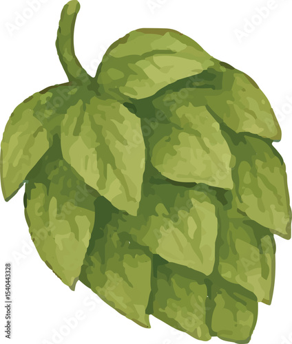 Fresh green hop cones, key to beer flavor, perfect for brewing illustrations. Ideal for craft beer branding, hop harvest themes, or rustic brewery decor
