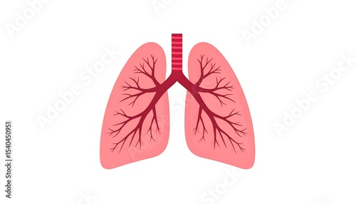 Human Lungs Anatomy Illustration. (1)