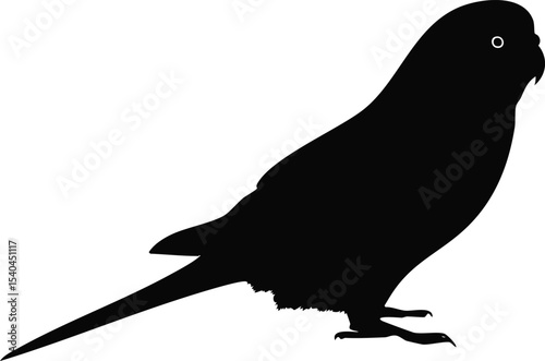 Budgerigar Bird silhouette illustration