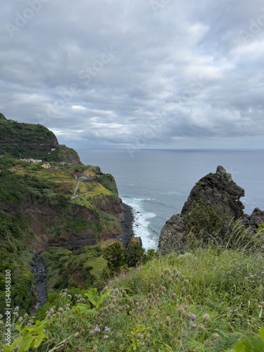 Vertical shot of coastline at rocky coast of Madeira, Portugal. Blooming green grass and rocky shore