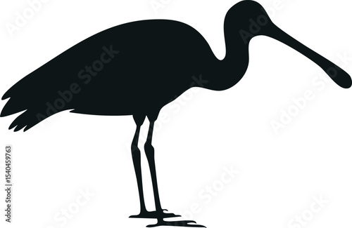 Spoonbill bird silhouette illustration