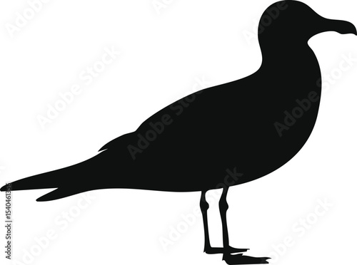 Seagull bird silhouette illustration