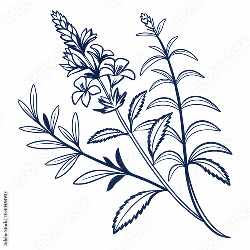 seamless pattern with leaves and water hyssops