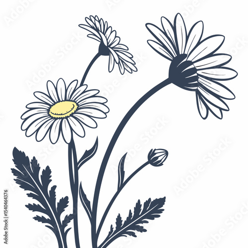 floral background with common daisies