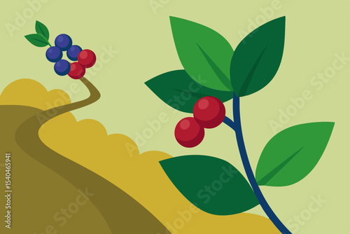 Winding Path to Berries A Journey Through Nature's Bounty