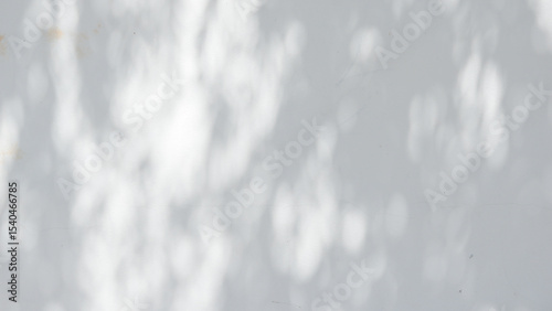 Black and White  abstract background textuer of shadows leaf on a concrete wall.
