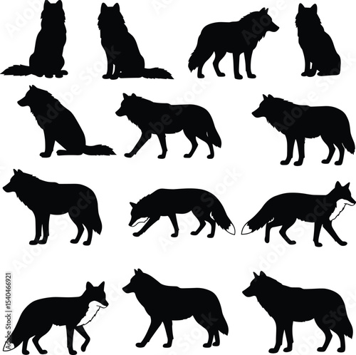 Wolf and fox silhouette collection, wild animal poses, vector set, black illustration, nature symbol, forest wildlife, predator shadow, standing sitting walking isolated art