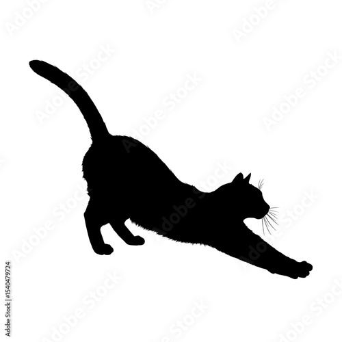 Black silhouette cat stretching feline animal figure graceful stretch pose pet
