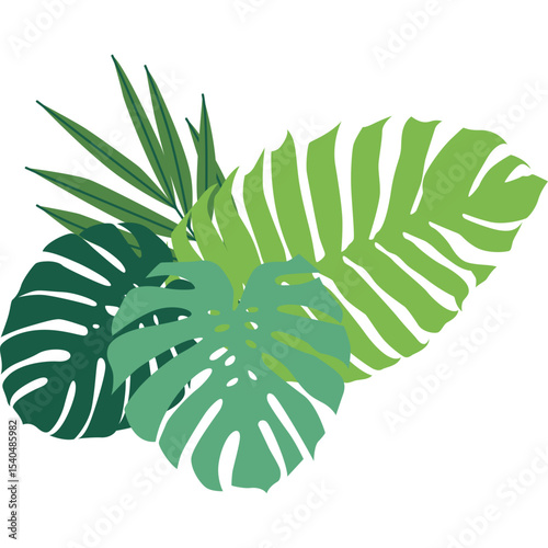 Tropical Leaves Illustration
