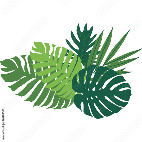 Tropical Leaves Illustration