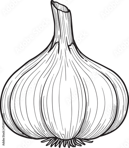 Line Art Illustration of a Single Bulb of Garlic