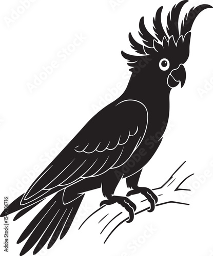 Elegant black cockatoo perched on a branch simple vector illustration on white background
