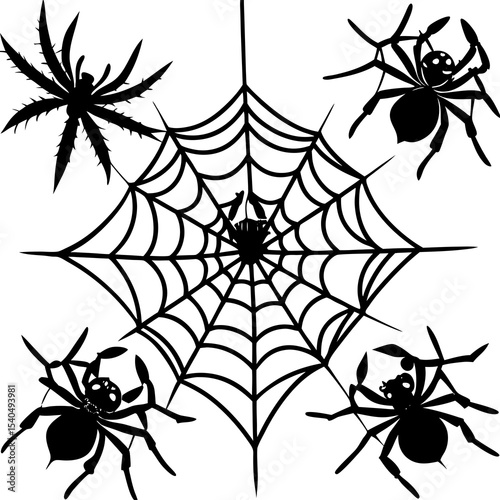 spider and web