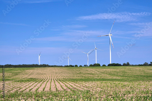 Wiatraki na Polu Kukurydzy w Słoneczny Dzień – Symbol Zielonej Przyszłości