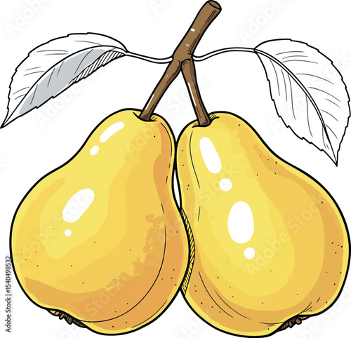 Juicy Yellow Pears Fresh Fruit Illustration