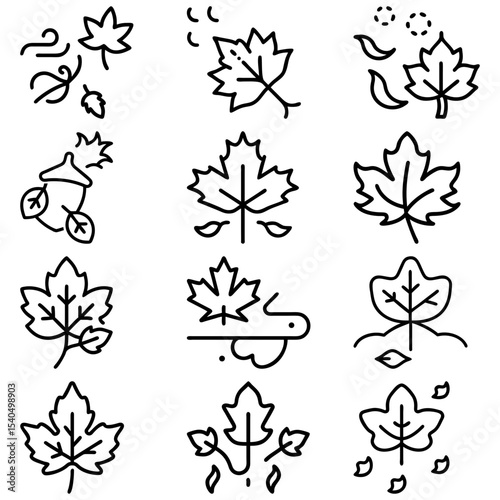 Collection of twelve stylized maple leaves and an acorn in black outline illustration set vector