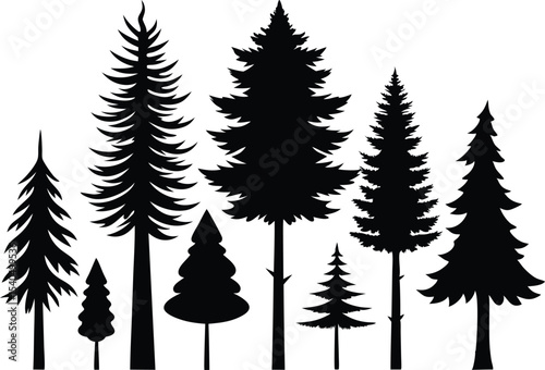 Silhouettes of various evergreen trees in a forest