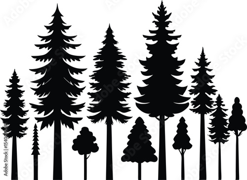 Silhouettes of various evergreen trees in a forest