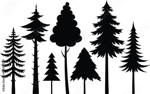 Silhouettes of various evergreen trees in a forest