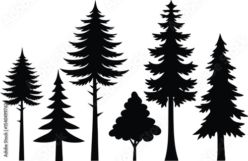 Silhouettes of various evergreen trees in a forest
