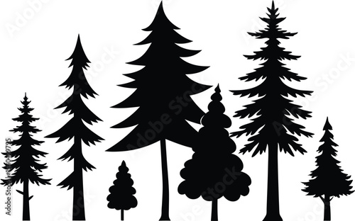 Silhouettes of various evergreen trees in a forest