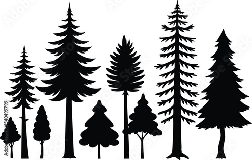 Silhouettes of various evergreen trees in a forest