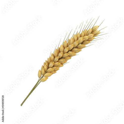Golden Wheat Ear Isolated on Black Background - Agriculture and Farming Symbol
