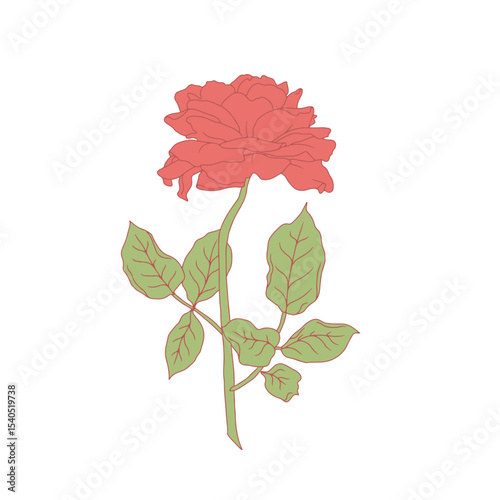 Hand drawn line art red rose flower isolated on white background. romantic botanical vector illustration