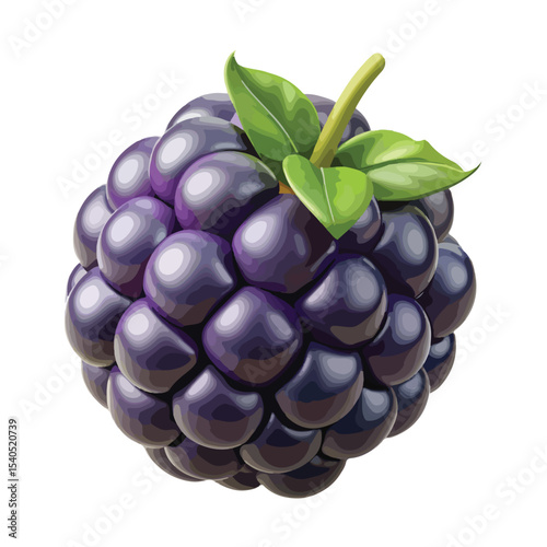 Rich dark grape cluster vector ideal for wine, juice, or fruit-themed graphics and branding.