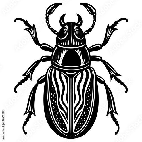 black and white beetle