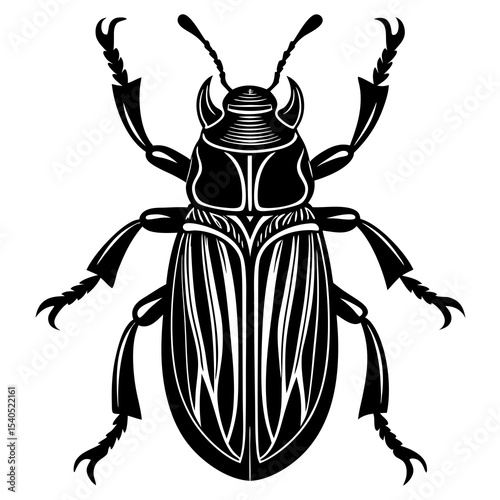 colorado potato beetle