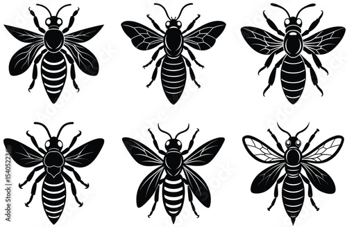 hornet vector