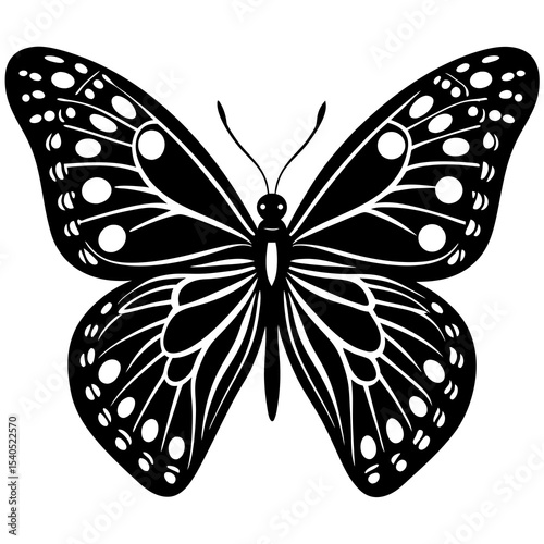 butterfly vector illustration