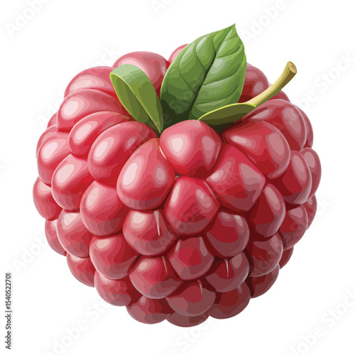 Sweet raspberry fruit vector with detailed shading, ideal for packaging and dessert themes.