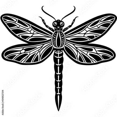 dragonfly on black background
