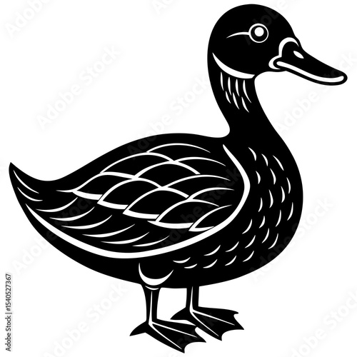 duck isolated on white