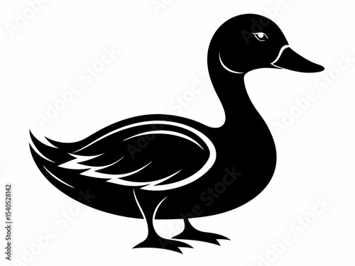 Mallard silhouette on white background