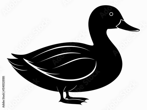 Mallard silhouette on white background