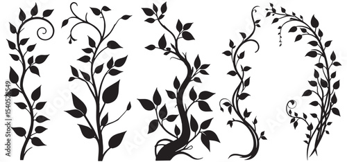 Jungle creeper silhouettes. Tropical forest lianas, rainforest hanging sprouts. Climbing liana vines flat set vector