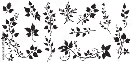 Jungle creeper silhouettes. Tropical forest lianas, rainforest hanging sprouts. Climbing liana vines flat set vector