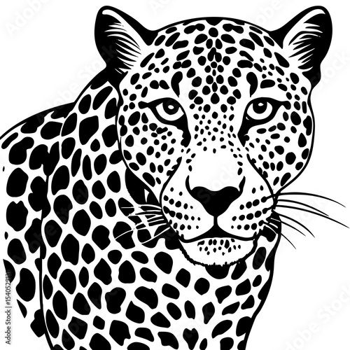 leopard on a black background