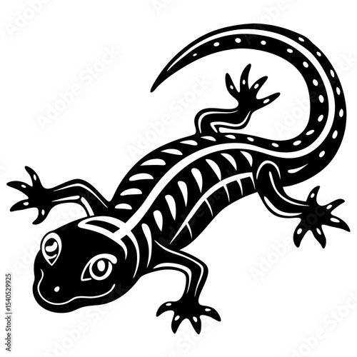 lizard on white