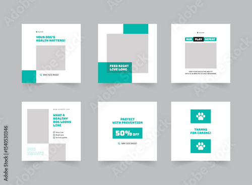 Dog Health Social Media Post Design