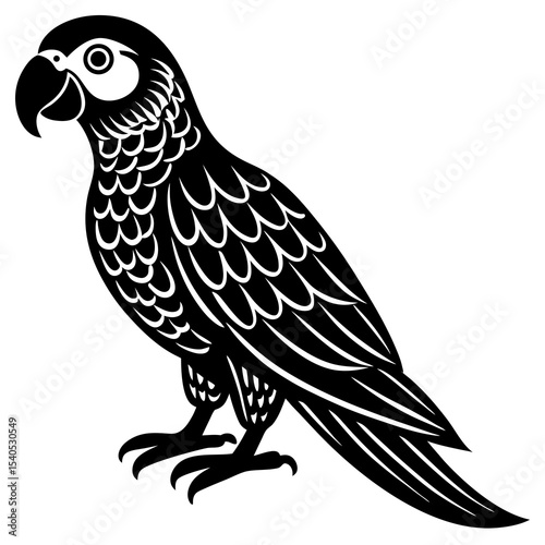 vector illustration of an owl