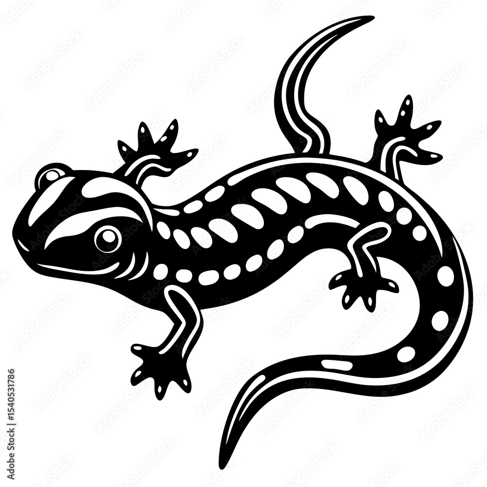 Fototapeta premium lizard on a white background
